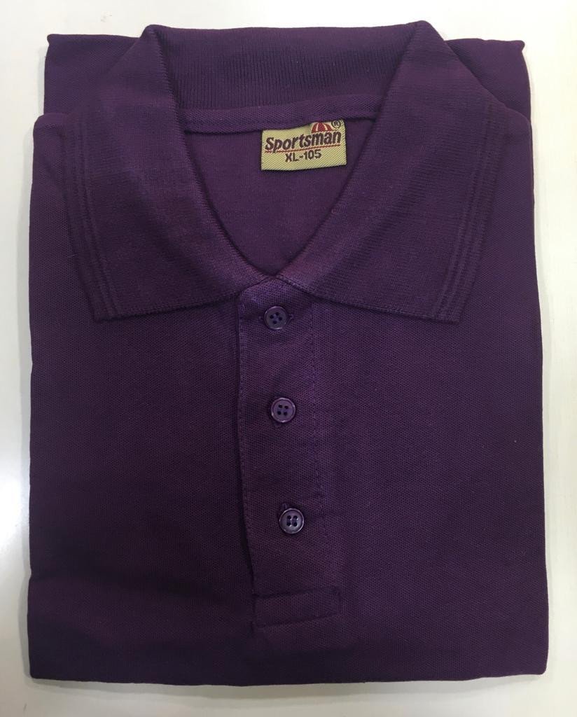 Sportsman Polo neck T-Shirt supplier - 230 Gsm - Wine